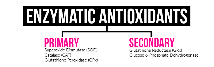 Enzymatic Antioxidants Classification